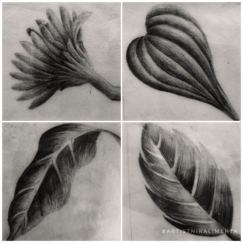 Learning  pencil shading  2